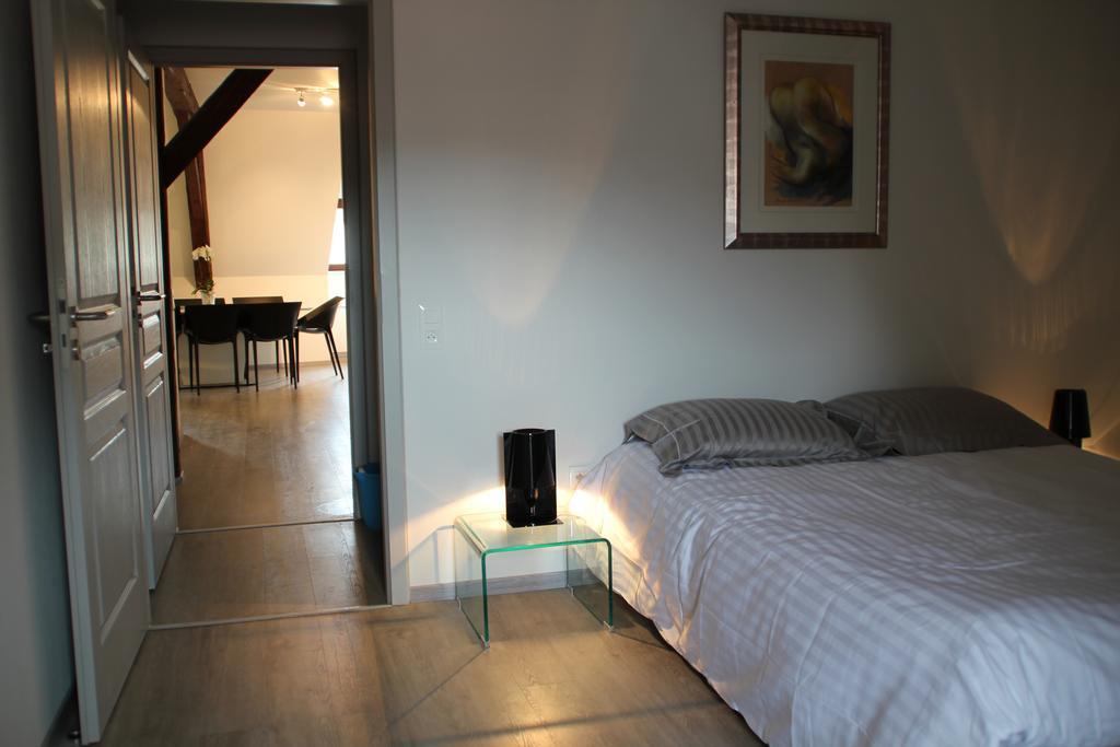 A L'Ill - Apparts & Studios Strasbourg Hyper Centre Phòng bức ảnh