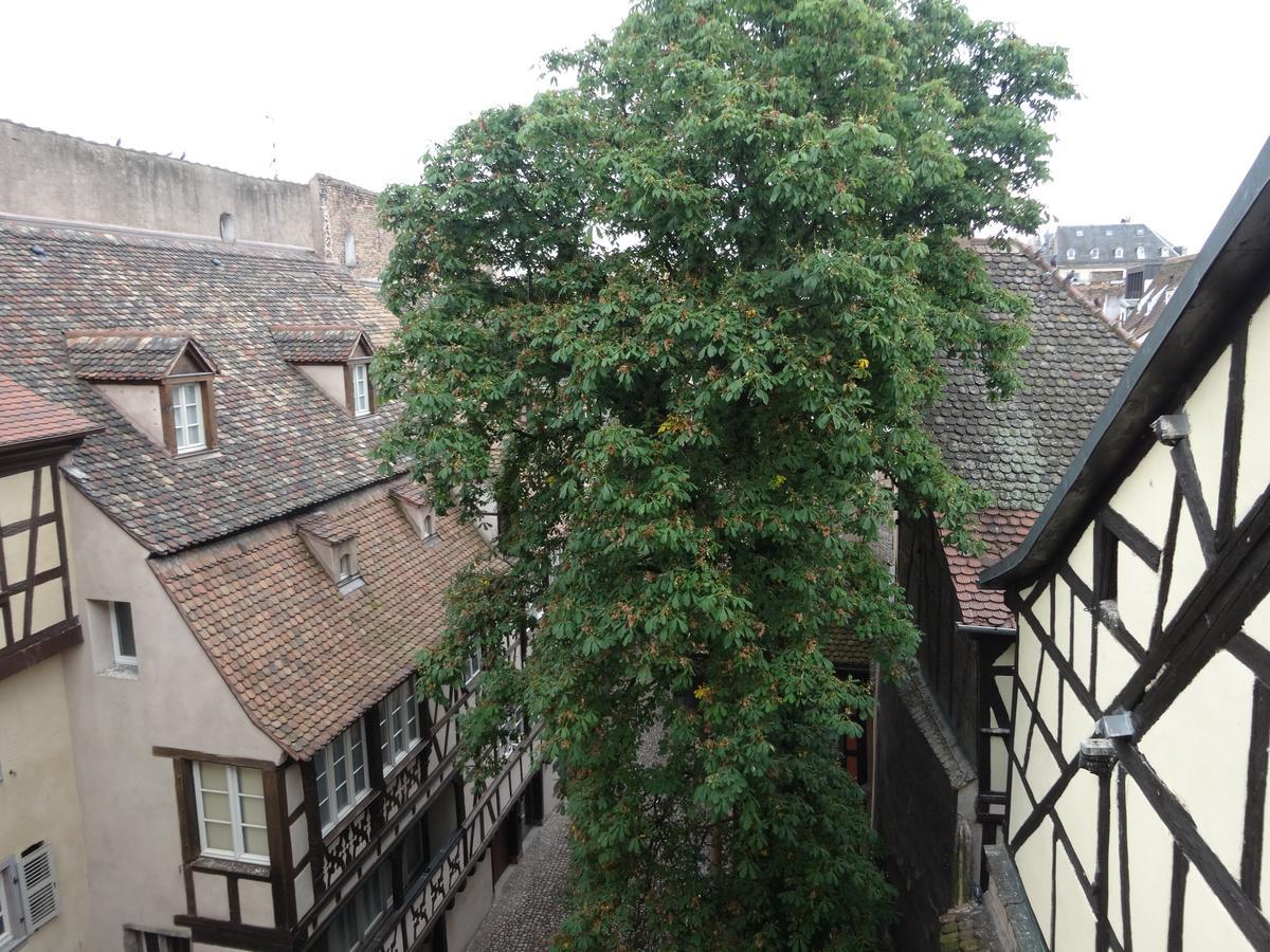 A L'Ill - Apparts & Studios Strasbourg Hyper Centre Ngoại thất bức ảnh