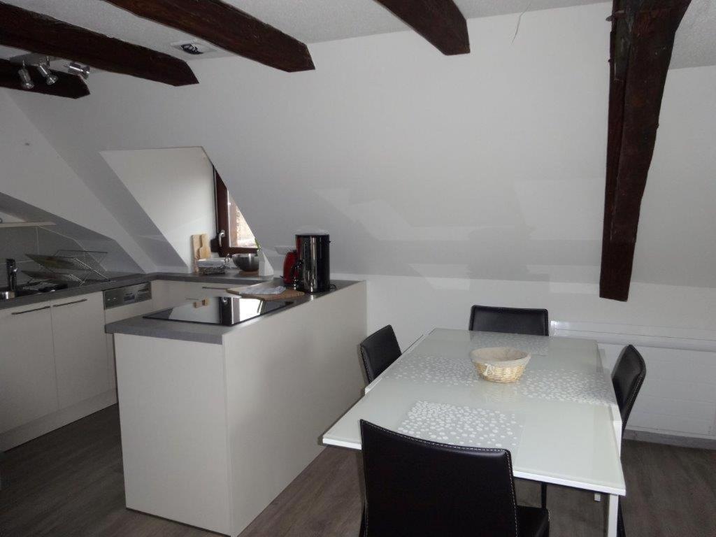 A L'Ill - Apparts & Studios Strasbourg Hyper Centre Ngoại thất bức ảnh