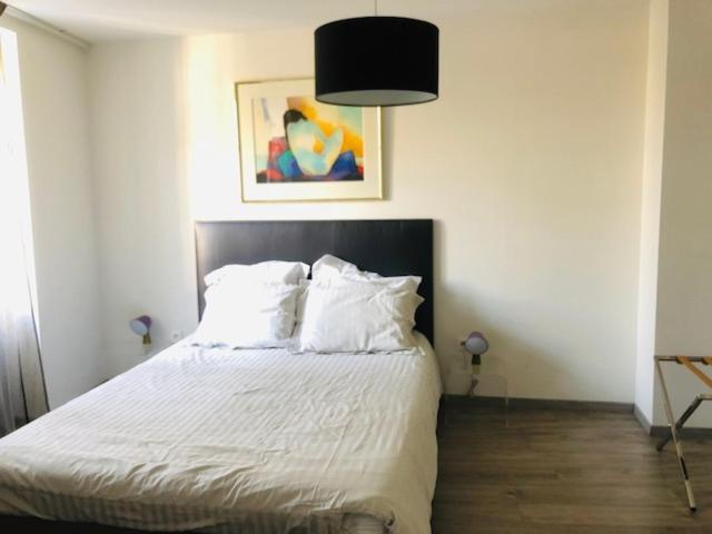 A L'Ill - Apparts & Studios Strasbourg Hyper Centre Ngoại thất bức ảnh